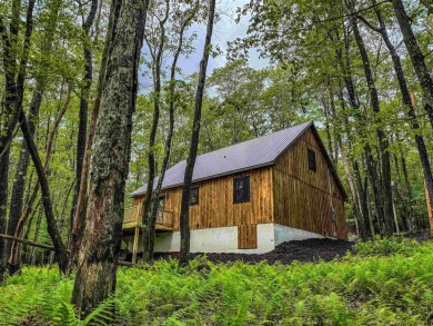 Welcome to 'Into the Forest', a newly constructed CABIN with on Alpine Lake Resort in West Virginia - for sale on GolfHomes.com, golf home, golf lot