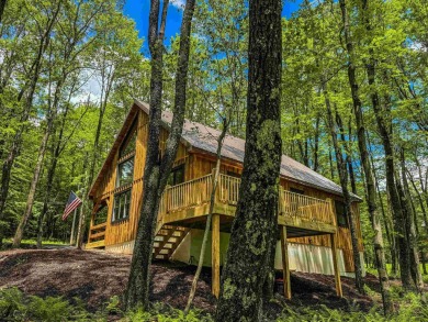 Welcome to 'Into the Forest', a newly constructed CABIN with on Alpine Lake Resort in West Virginia - for sale on GolfHomes.com, golf home, golf lot