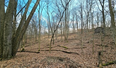 Spring is just around the corner! Build your dream home or on Hide-A-Way Hills Golf Club in Ohio - for sale on GolfHomes.com, golf home, golf lot