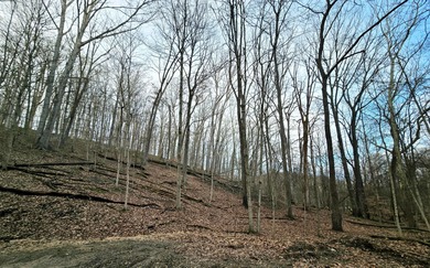 Spring is just around the corner! Build your dream home or on Hide-A-Way Hills Golf Club in Ohio - for sale on GolfHomes.com, golf home, golf lot