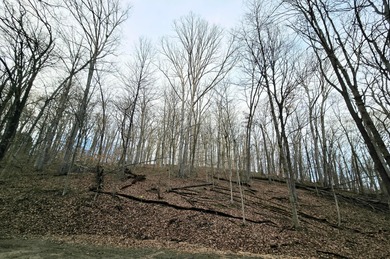 Spring is just around the corner! Build your dream home or on Hide-A-Way Hills Golf Club in Ohio - for sale on GolfHomes.com, golf home, golf lot