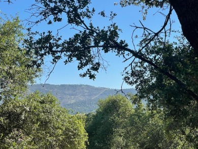 Potential For Views! One-third of an acre on a quiet street in on Greenhorn Creek Resort in California - for sale on GolfHomes.com, golf home, golf lot