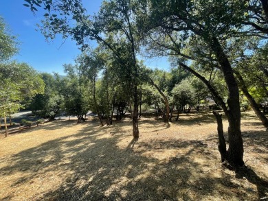 Potential For Views! One-third of an acre on a quiet street in on Greenhorn Creek Resort in California - for sale on GolfHomes.com, golf home, golf lot