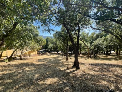 Potential For Views! One-third of an acre on a quiet street in on Greenhorn Creek Resort in California - for sale on GolfHomes.com, golf home, golf lot