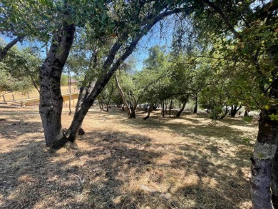 Potential For Views! One-third of an acre on a quiet street in on Greenhorn Creek Resort in California - for sale on GolfHomes.com, golf home, golf lot