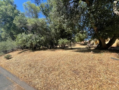 Potential For Views! One-third of an acre on a quiet street in on Greenhorn Creek Resort in California - for sale on GolfHomes.com, golf home, golf lot