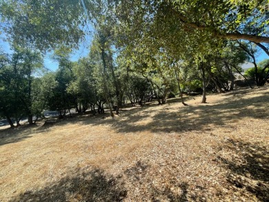 Potential For Views! One-third of an acre on a quiet street in on Greenhorn Creek Resort in California - for sale on GolfHomes.com, golf home, golf lot