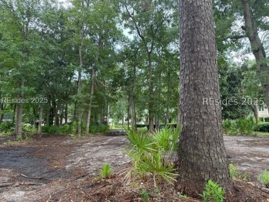 Incredible lagoon-to-golf views overlooking the #1 fairway of on Long Cove Club in South Carolina - for sale on GolfHomes.com, golf home, golf lot
