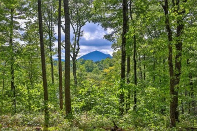 Discover the best of mountain living at 108 Uplands, an on High Hampton Inn and Country Club in North Carolina - for sale on GolfHomes.com, golf home, golf lot
