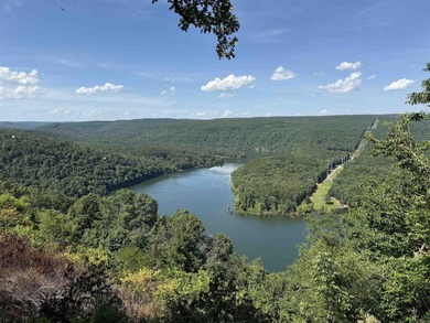 Amazing Views of Middle Fork on Greers Ferry Lake!  See survey on Indian Hills Country Club in Arkansas - for sale on GolfHomes.com, golf home, golf lot