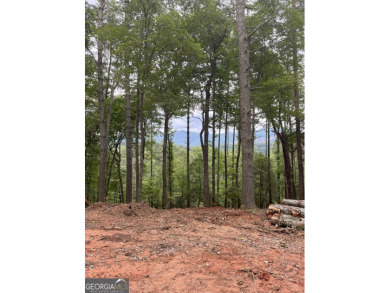 Nestled in the serene beauty of the North Georgia mountains on White Path Golf Club in Georgia - for sale on GolfHomes.com, golf home, golf lot