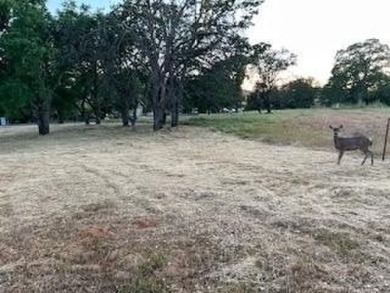 Fantastic .36 acre large view lot in Greenhorn Creek Resort on Greenhorn Creek Resort in California - for sale on GolfHomes.com, golf home, golf lot
