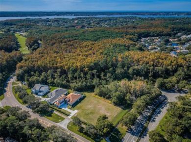 CLEARED & READY TO BUILD 1.25 ACRES ALL BUILDABLE IN LANSBROOK!
 on Lansbrook Golf Club in Florida - for sale on GolfHomes.com, golf home, golf lot