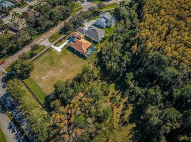 CLEARED & READY TO BUILD 1.25 ACRES ALL BUILDABLE IN LANSBROOK!
 on Lansbrook Golf Club in Florida - for sale on GolfHomes.com, golf home, golf lot