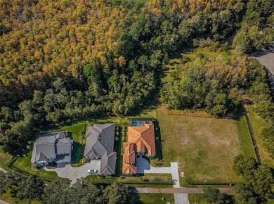 CLEARED & READY TO BUILD 1.25 ACRES ALL BUILDABLE IN LANSBROOK!
 on Lansbrook Golf Club in Florida - for sale on GolfHomes.com, golf home, golf lot