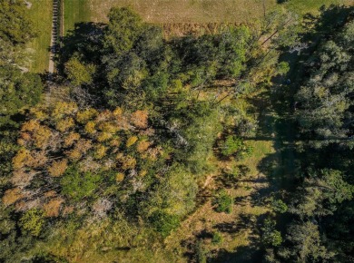 CLEARED & READY TO BUILD 1.25 ACRES ALL BUILDABLE IN LANSBROOK!
 on Lansbrook Golf Club in Florida - for sale on GolfHomes.com, golf home, golf lot