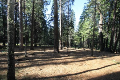 Rare golf course lot in Blue Lake Springs with level access and on Sequoia Woods Country Club in California - for sale on GolfHomes.com, golf home, golf lot