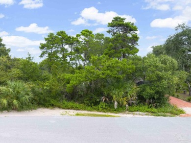 Coastal Living Starts Here! Build your dream just minutes from on Sharks Tooth Golf Club in Florida - for sale on GolfHomes.com, golf home, golf lot