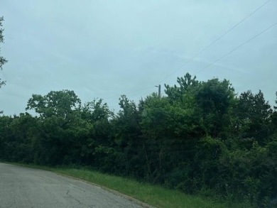 Bring your horses! 2 plated, treed lots in the equestrian area on White Bluff Resort - New Course in Texas - for sale on GolfHomes.com, golf home, golf lot