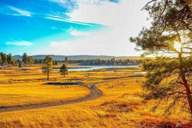 Blue Pitcher Lindner, Jann C Pitcher Real Estate, C: , blue,  : on Pagosa Springs Golf Club in Colorado - for sale on GolfHomes.com, golf home, golf lot