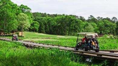 The all-new Orchard B plan by My Home Communities is in Phase on Harbor Club Golf and Country Club in Georgia - for sale on GolfHomes.com, golf home, golf lot