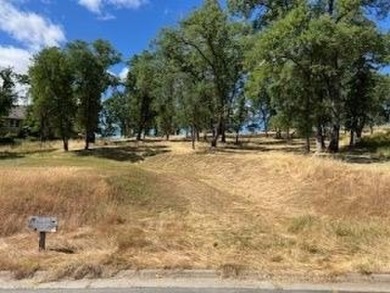 61 Acre Dream building lot in Greenhorn Creek.   This lot has on Greenhorn Creek Resort in California - for sale on GolfHomes.com, golf home, golf lot