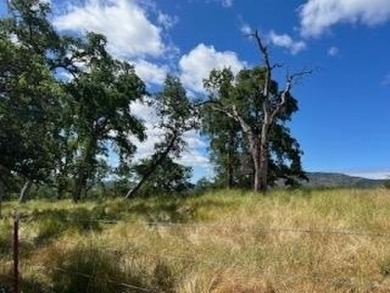 61 Acre Dream building lot in Greenhorn Creek.   This lot has on Greenhorn Creek Resort in California - for sale on GolfHomes.com, golf home, golf lot