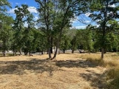 61 Acre Dream building lot in Greenhorn Creek.   This lot has on Greenhorn Creek Resort in California - for sale on GolfHomes.com, golf home, golf lot