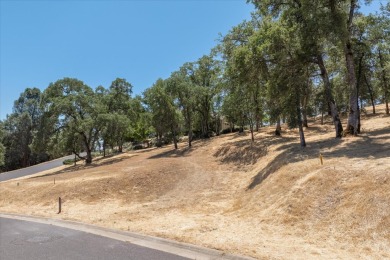 61 Acre Dream building lot in Greenhorn Creek.   This lot has on Greenhorn Creek Resort in California - for sale on GolfHomes.com, golf home, golf lot