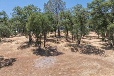 61 Acre Dream building lot in Greenhorn Creek.   This lot has on Greenhorn Creek Resort in California - for sale on GolfHomes.com, golf home, golf lot