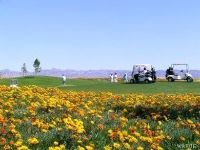 Spacious 11,005 sq ft lot ready for your dream home to be built on Los Lagos Golf Club in Arizona - for sale on GolfHomes.com, golf home, golf lot