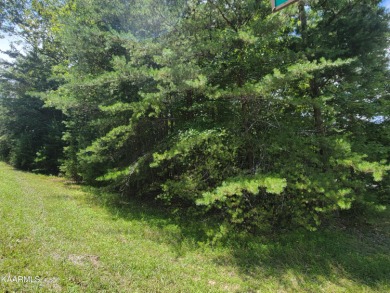 Build your dream house!
LARGE wooded corner lot, quiet on Heatherhurst Golf Course - Brae in Tennessee - for sale on GolfHomes.com, golf home, golf lot