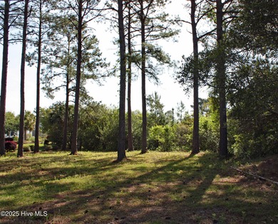 Beautiful golf course homesite on the tee box of Leopard's Chase on Ocean Ridge Plantation in North Carolina - for sale on GolfHomes.com, golf home, golf lot