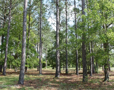 Beautiful golf course homesite on the tee box of Leopard's Chase on Ocean Ridge Plantation in North Carolina - for sale on GolfHomes.com, golf home, golf lot
