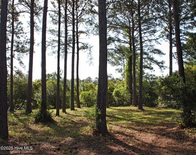 Beautiful golf course homesite on the tee box of Leopard's Chase on Ocean Ridge Plantation in North Carolina - for sale on GolfHomes.com, golf home, golf lot