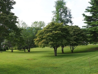 This exceptional home overlooks the 14th hole and beautiful lake on The Clubs of Olde Mill in Virginia - for sale on GolfHomes.com, golf home, golf lot