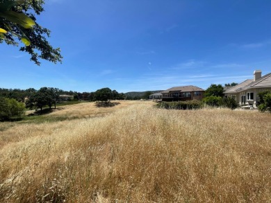 Enjoy quiet country living in the peaceful setting of the gated on The Club at Copper Valley Golf Course in California - for sale on GolfHomes.com, golf home, golf lot