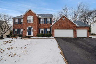 This stunning 4-bedroom, two-story home sits on a scenic on Aldeen Golf Club in Illinois - for sale on GolfHomes.com, golf home, golf lot