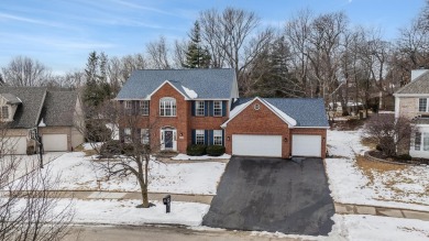 This stunning 4-bedroom, two-story home sits on a scenic on Aldeen Golf Club in Illinois - for sale on GolfHomes.com, golf home, golf lot