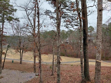 What a view on the 10th fairway of Hot Springs Village's on Ponce De Leon Golf Course in Arkansas - for sale on GolfHomes.com, golf home, golf lot