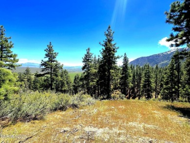 Set on one of the most picturesque locations in the community on Clear Creek Tahoe in Nevada - for sale on GolfHomes.com, golf home, golf lot