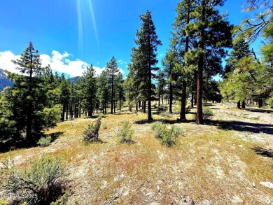 Set on one of the most picturesque locations in the community on Clear Creek Tahoe in Nevada - for sale on GolfHomes.com, golf home, golf lot