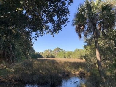 This beautiful, unique 2.93 acre lot is one of the most unique on Charleston National Golf Club in South Carolina - for sale on GolfHomes.com, golf home, golf lot