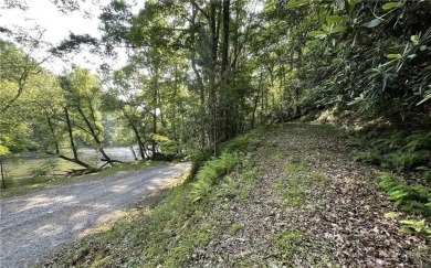 Escape to the mountains and build your dream retreat on this on White Path Golf Club in Georgia - for sale on GolfHomes.com, golf home, golf lot