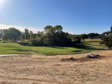 This spacious double lot offers an ideal canvas for your custom on Greenhorn Creek Resort in California - for sale on GolfHomes.com, golf home, golf lot