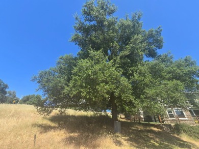 This spacious double lot offers an ideal canvas for your custom on Greenhorn Creek Resort in California - for sale on GolfHomes.com, golf home, golf lot