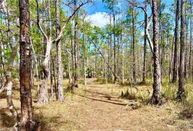 FAMILY no longer staying in unit so ITS BACK ON THE MARKET AT A on Naples Heritage Golf and Country Club in Florida - for sale on GolfHomes.com, golf home, golf lot