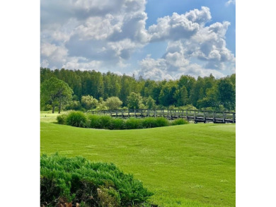 This home has zero damage from hurricane Helene and Milton. The on Heritage Isles Golf and Country Club in Florida - for sale on GolfHomes.com, golf home, golf lot