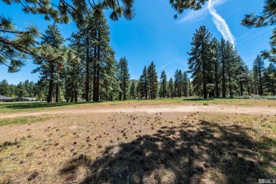 Enjoy breathtaking, panoramic views of Washoe Valley from this on Toiyabe Golf Course in Nevada - for sale on GolfHomes.com, golf home, golf lot
