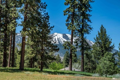 Enjoy breathtaking, panoramic views of Washoe Valley from this on Toiyabe Golf Course in Nevada - for sale on GolfHomes.com, golf home, golf lot